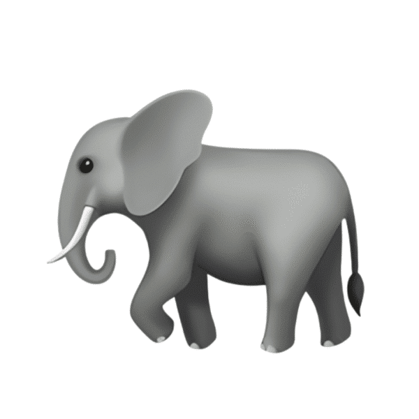 Elephant - £1000 Cash