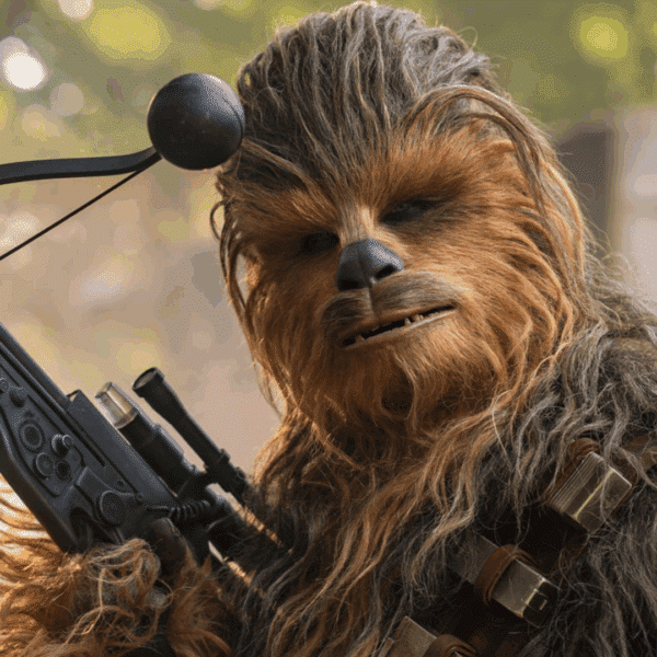Chewbacca - £200 Cash - 10 points
