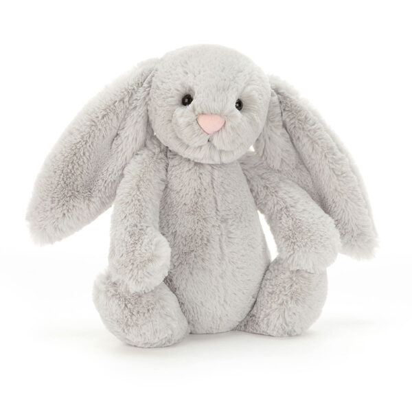 Bashful Silver Bunny or £25 Cash