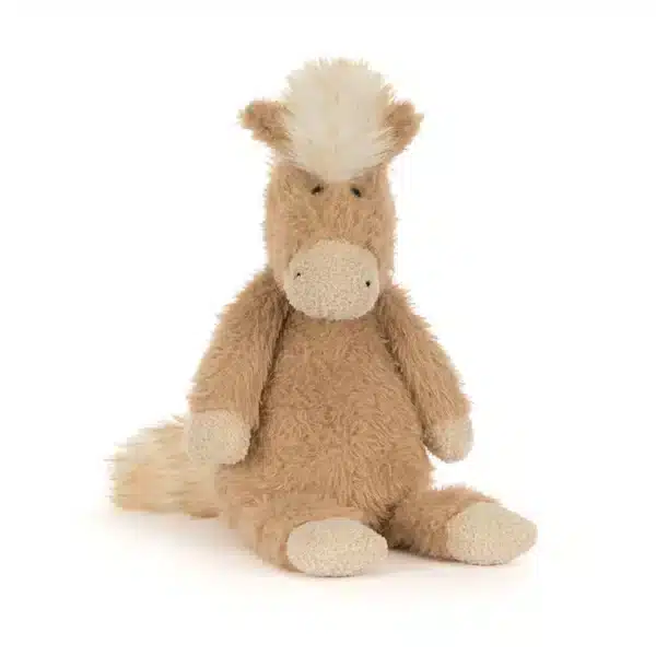 Canterneigh Pony or £45 Cash
