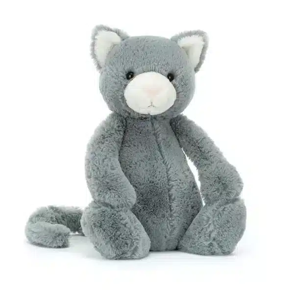 Bashful Kitten or £25 Cash